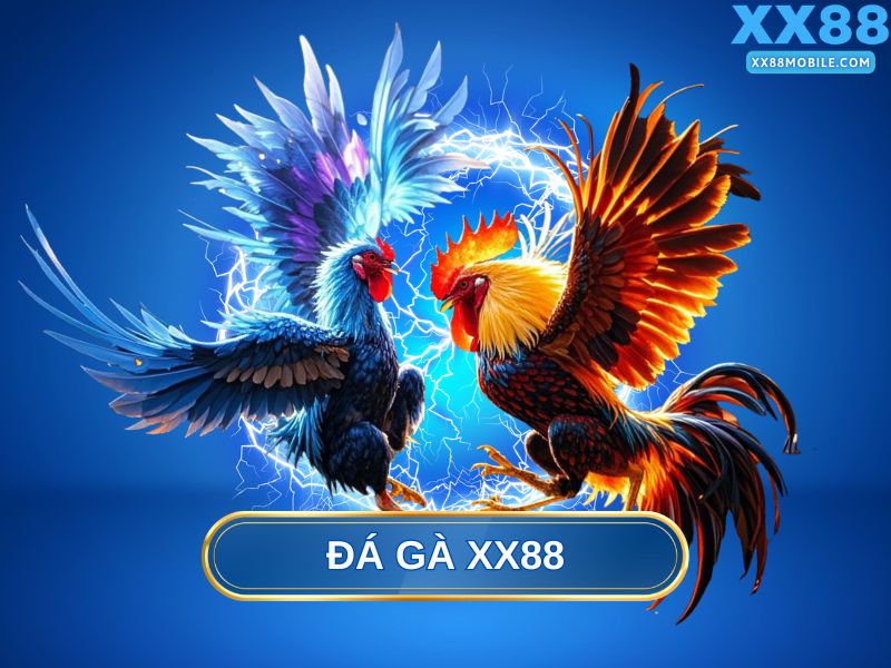 Đá gà XX88 – Kịch tính từng trận đấu